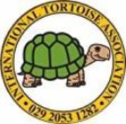 STDAVIDS.WALES:Tortoise Sanctuary:Tortoise Sanctuary:Welsh Charity