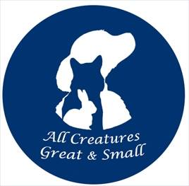 STDAVIDS.WALES:All Creatures Great & Small:Creatures Great & Small:Welsh Charity