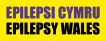 STDAVIDS.WALES:Epilepsy Wales:Epilepsy Wales:Welsh Charity