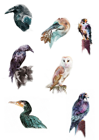 STDAVIDS.WALES:Your Favourite Bird Mounted Print & Digital Copy:St Davids Gin & Kitchen:Art