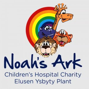 STDAVIDS.WALES:Noah's Ark Children's Hospital:NOAHS ARK CHILDREN'S HOSPITAL:Welsh Charity