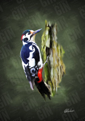 STDAVIDS.WALES:'The Lesser Spotted Woodpecker' Mounted Print:St Davids Gin & Kitchen:Art