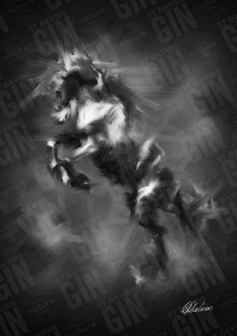 STDAVIDS.WALES:'Rearing Stallion' Mounted Print:St Davids Gin & Kitchen:Art